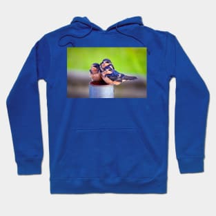 Barn Swallow Baby Trio Hoodie